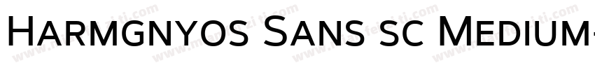 Harmgnyos Sans sc Medium字体转换